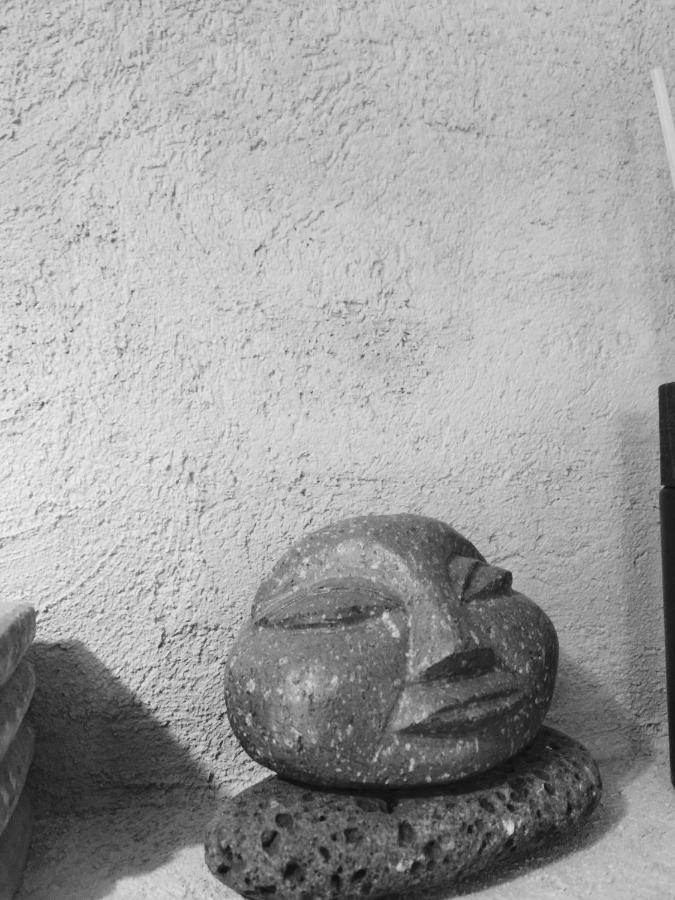 Happy Bentveld Guesthouse المظهر الخارجي الصورة